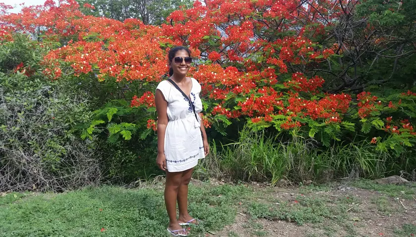 20150725 153032